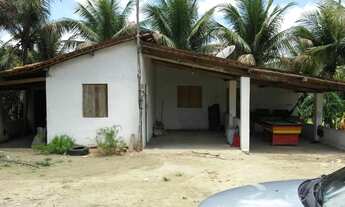 Imagem 6: Fazenda em Maragogi com 44 hectares apenas 540 mil