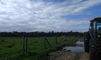 Imagem 7: Aceita permuta Fazenda / sítio com venda por R$3.800.000
