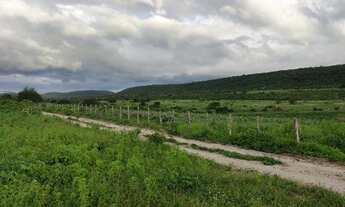 Imagem 2: Vendo / Permuto 50, 100 ou 200 hectares em São José da Mata/ Campina Grande