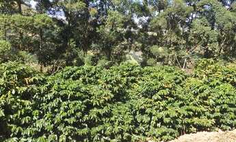 Imagem 2: Sítio 17 alqueires Sul de Minas