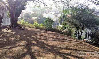 Imagem 4: Terreno Parque dos Príncipes - Sao Paulo