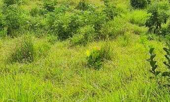 Imagem 4: Chácara em Jaraguari