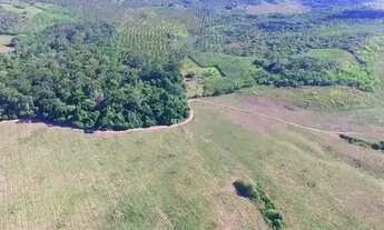 Imagem 2: Fazenda em Japoatã, 789 tarefas, ideal para para milho, cana e criação de animais
