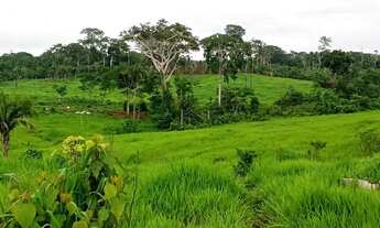 Imagem: 200 hectares