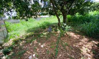 Imagem 4: Llote no Bandeirantes