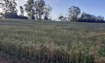 Imagem 5: Vendo chácara de 9.600m²