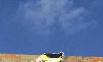 Imagem: Chácara 10.000m2 - Parque dos Falcões