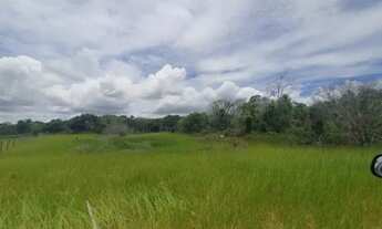 Imagem 2: 58 Alqueires em Vila do Riachom, às margens da ES 010