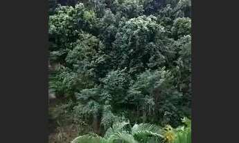 Imagem 5: Oportunidade de Apartamento com INFRAESTRUTURA para venda possui 55 metros quadrados com 1