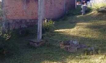 Imagem 4: Terreno em Tristeza