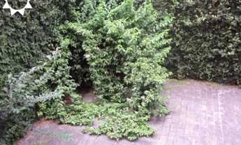 Imagem 3: SOBRADO JD. DAS FLORES OSASCO