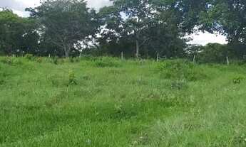 Imagem 2: Fazenda Rio Vermelho de 9 alq. e 15 litros em Goiás