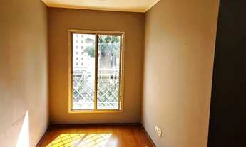 Imagem: Apartamento para aluguel tem 53 metros quadrados