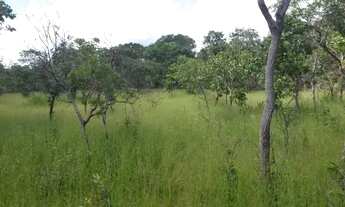 Imagem 2: Fazenda de 4.849,68 hectares Arraias-To