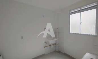 Imagem 5: Aluguel Apartamento JARDIM PATRICIA