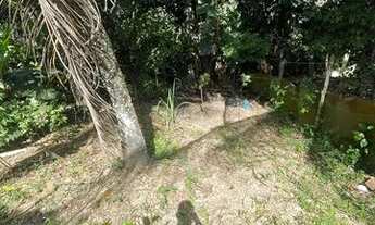 Imagem 6: Vendo sitio pequeno