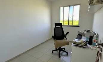 Imagem 10: Palm Ville - Sombra