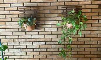 Imagem 7: Casa com 3 dormitórios sendo 1 suíte, 2 vagas, quintal com churrasqueira. Butantã