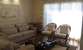 Imagem 3: Casa Padrão em São José do Rio Preto