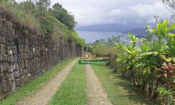 Imagem 5: Terreno à venda, 7381 m² por R$ 1.170.000,00 - Praia da Almada - Ubatuba/SP