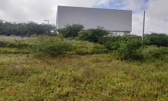 Imagem 5: Terreno na Gabriela