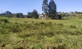 Imagem 5: Periquitos - Vila Romana