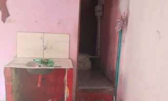 Imagem 2: Lírio do vele 1