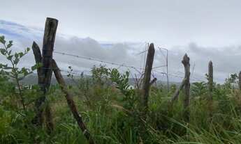 Imagem 6: Lote/Terreno para venda possui 40 ha em Moreno - Pernambuco