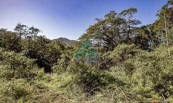 Imagem 2: Terreno, Praia da Lagoinha, Ubatuba - R$ 400 mil, Cod: 1864