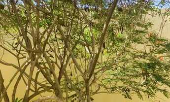 Imagem 3: Térrea para aluguel com 200 metros quadrados com 3 quartos em Buraquinho - Lauro de Freita