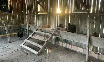 Imagem 7: Sítio em Fiuza Fazenda / sítio com venda por R$799.000