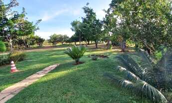 Imagem 2: Vendo excente chácara na Ponte Alta Sul com 4 hectares, 40.000m²!!!