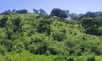 Imagem 5: Uma area de 11.72 hectare equivale a 2/5 alqueire