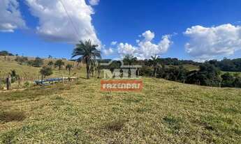 Imagem 3: Chacara 3 alqueires (14,52 hectares) Heitorai - GO