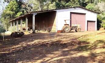 Imagem 4: Refúgio Perfeito: Chácara Espetacular em Ronda Alta