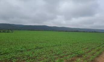 Imagem 3: Fazenda 800 hec em Rosário do Oeste MT. 14 milhões