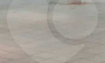 Imagem 5: Prédio inteiro à venda ou para locação em Santana - SP