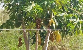 Imagem 5: Venda ou troca pego imóvel e veículo