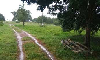 Imagem: Chácara Completa de 7 Alqueires à Venda