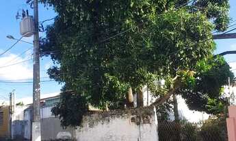 Imagem 2: Terreno à venda, 170 m², no bairro de Potilândia, Natal/RN