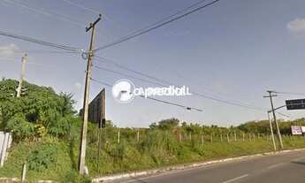 Imagem: Locação de Terreno / Padrão na cidade