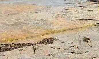 Imagem 3: Galpão 200m ² com área externa grande