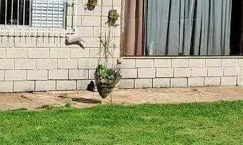 Imagem: Chácara à venda CAMPO LARGO em Jarinu