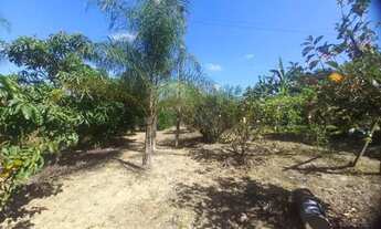 Imagem 6: Sítio em Limeira