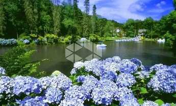 Imagem 6: TERRENO NO LOTEAMENTO MARSAL