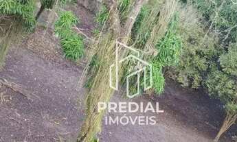 Imagem 4: Terreno à venda, 518 m² por R$ 220.000,00 - Mata Paca - Niterói/RJ