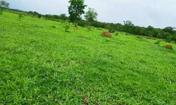 Imagem 4: Fazenda 81 alq. na região de Água Fria só R$ 8.000.000