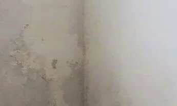 Imagem 7: Casa para Venda em Florianópolis, Balneário, 3 dormitórios, 1 banheiro, 3 vagas