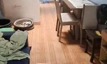 Imagem 2: Casa a venda em Matinhos