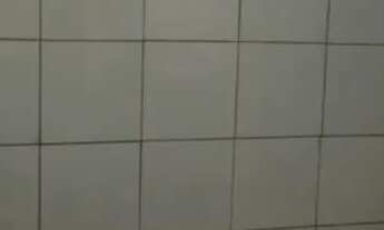 Imagem 5: Kitnet Kitnet com 1 dormitório